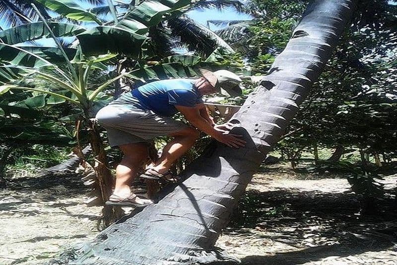 Galanos Sulphur Hot Springs-3h (visite de l'expérience du vin de noix de coco)
