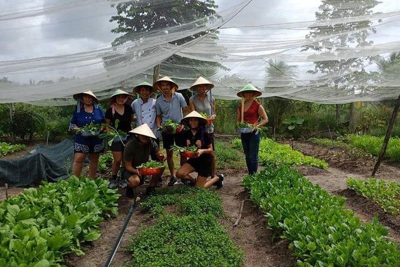 Cours de cuisine de ferme à table unique à Saigon