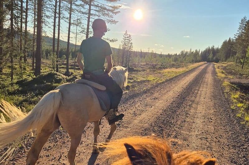 Balade à cheval vers la colline Activité