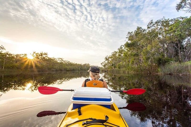 Visite guidée d'une journée en kayak à Noosa Everglades