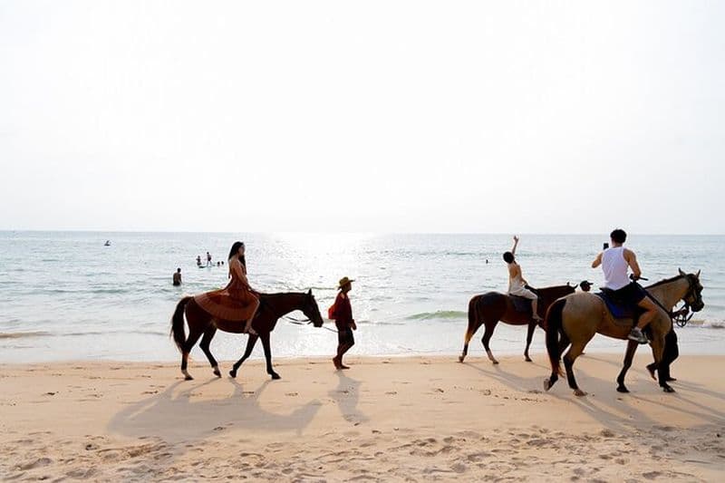Plage de Phuket et promenades à cheval 1 heure d'expérience