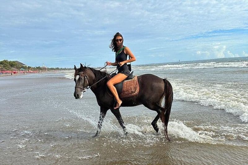 Billet 30 minutes à cheval Plage de Seminyak