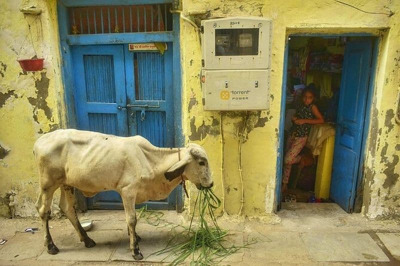 Visite à pied du patrimoine à Ahmedabad pour une expérience immersive