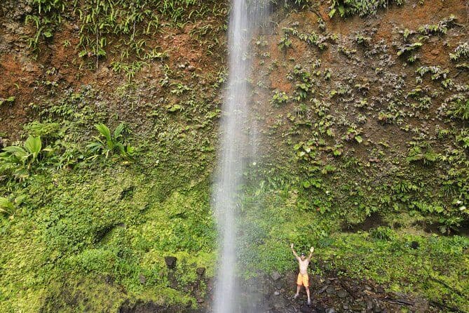 Randonnée Faune Sauvage Middleham Falls