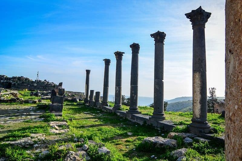 Excursion privée d'une journée à Umm Qais au départ d'Amman avec sentier de randonnée en option