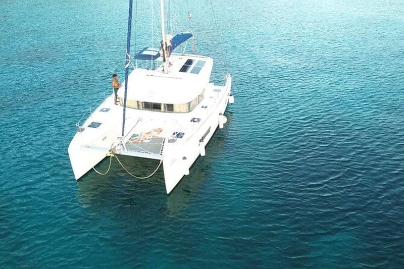 Journée Complète en Catamaran Martinique Dauphins et Tortues