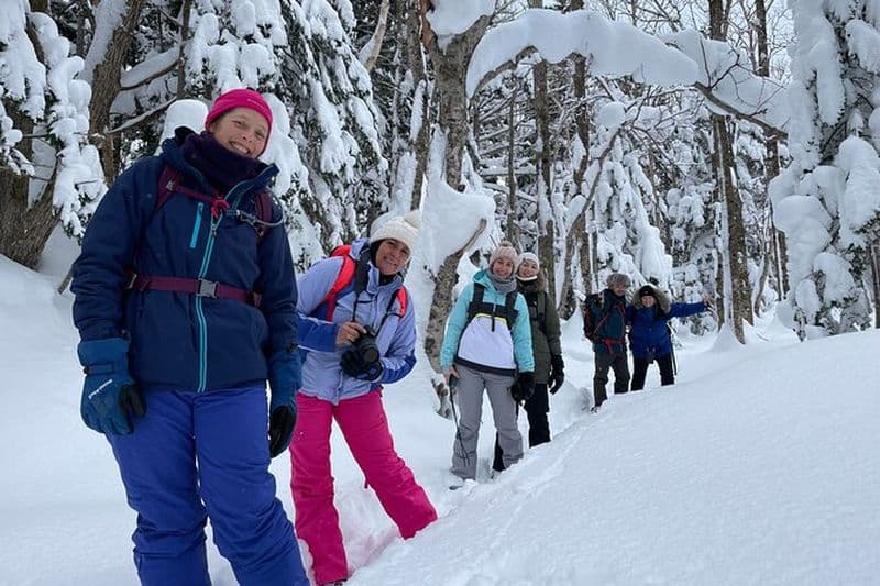 Visite privée en raquettes à neige dans le parc national de Shiretoko