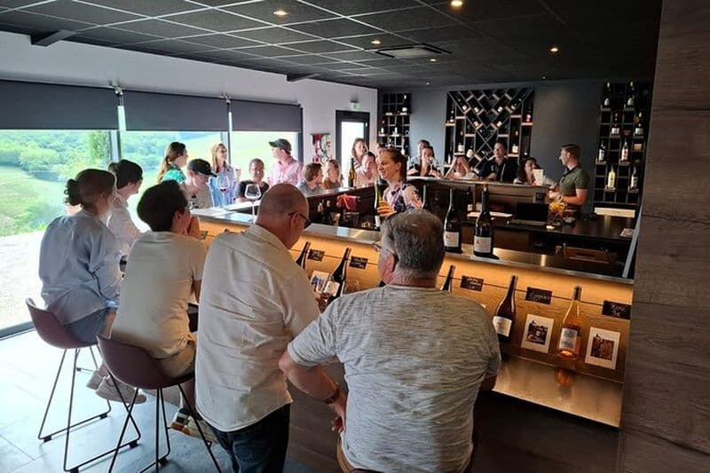 Excursion d’une demi-journée dans le Beaujolais avec dégustation de vins