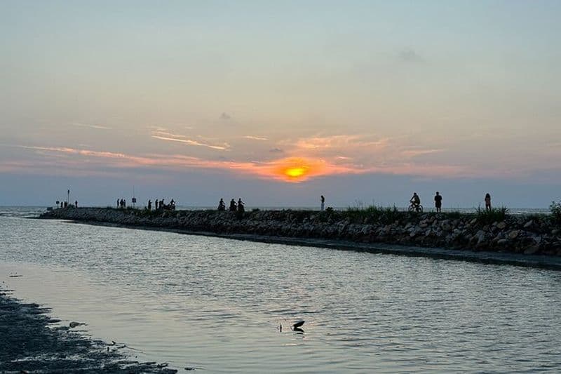Balade en buggy dans les rizières, Balik Pulau et Penang