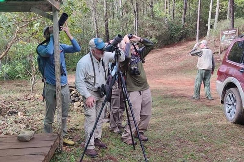 Excursion d'observation des oiseaux de 2 jours dans la Sierra de Bahoruco