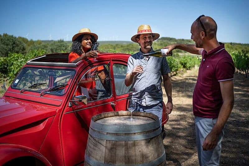 Découvrez les trésors du Languedoc lors d'une visite des vins vintage en 2CV
