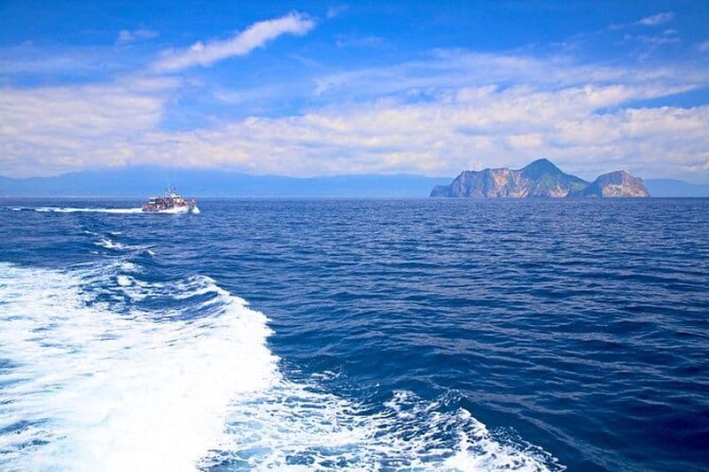 Visite privée d'observation des baleines et de la ferme animale de Yilan au départ de Taipei