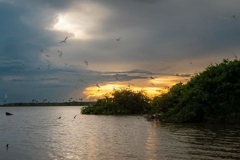 Living Pampa : Visite privée du Safari de la faune amazonienne bolivienne