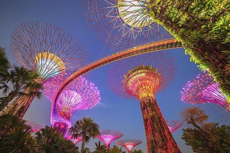 Gardens by the Bay avec 2 Flower Dome + Marina Bay Sands Skypark