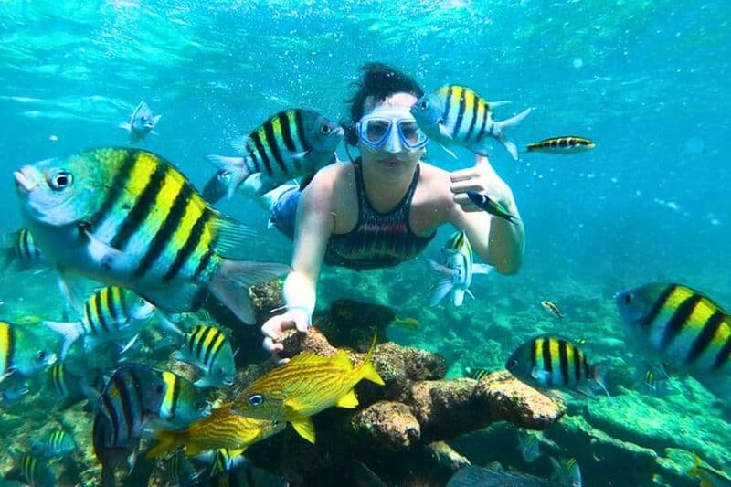 Visite en bateau des îles Rosario avec déjeuner, forts et plongée avec tuba