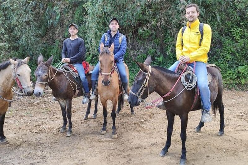Balade à cheval de Guadalupe à Monserrate Excursion privée d'une journée