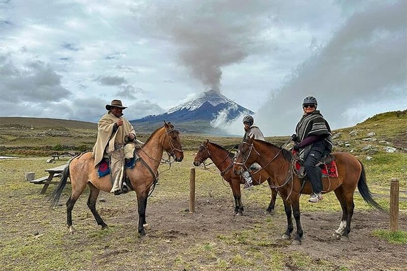 Excursion à cheval d'une journée au parc national Cotopaxi au départ de Quito