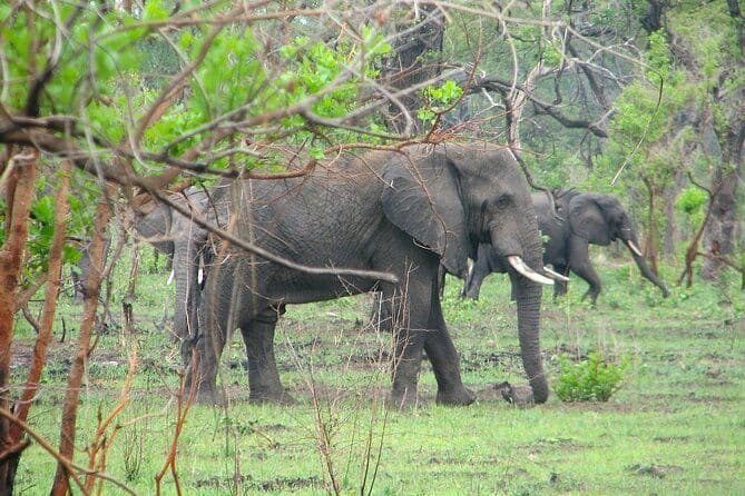 Safari Malawi Nord 7Jours/6Nuits