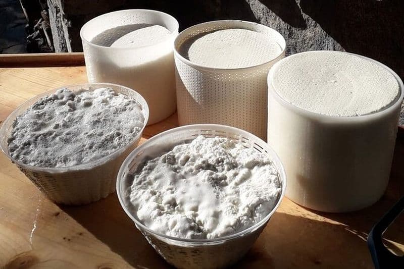 Burgos: Atelier de fromage sarde Pecorino