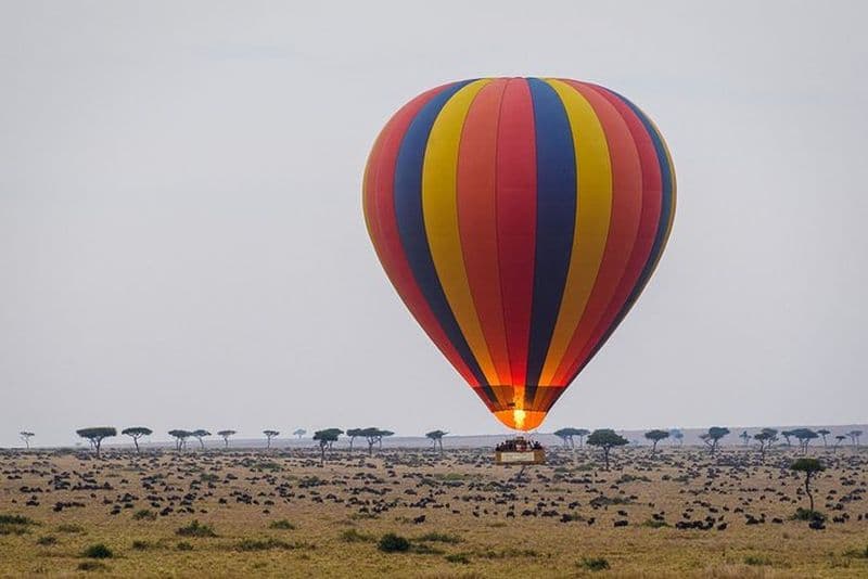 Safari Masai Mara de 3 jours combiné à une expérience de vol en montgolfière