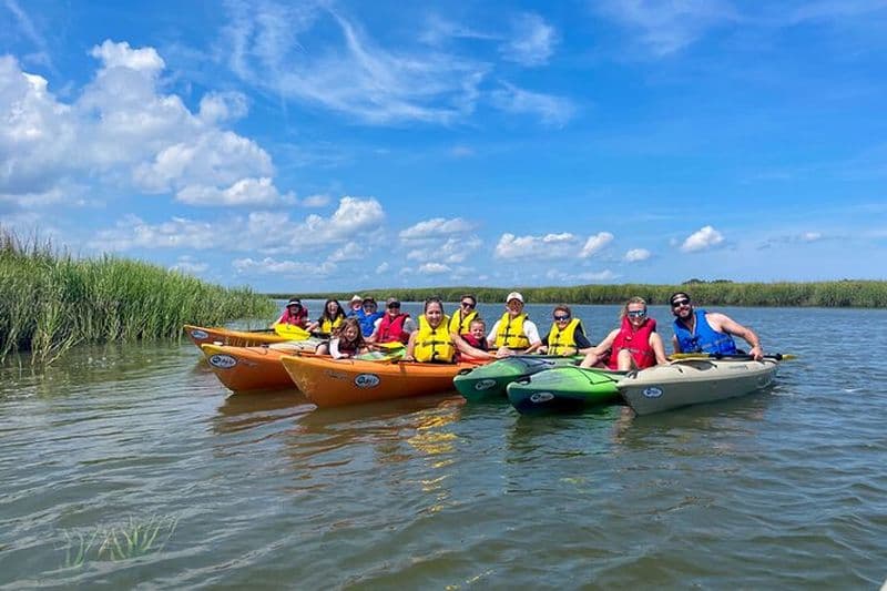 Visite guidée naturelle en kayak de 2 heures à Hilton Head