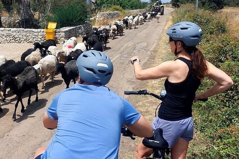 Lecce : Excursion à vélo électrique à Galatina vieux moulin à olives & goût de vin + Taxi