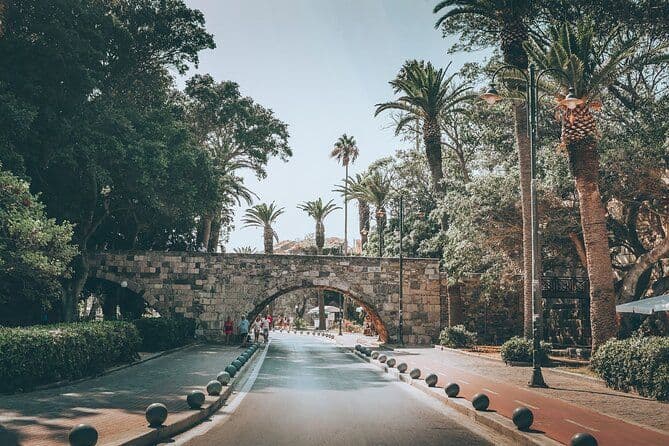 Dégustation locale de Kos - Vin, huile et miel