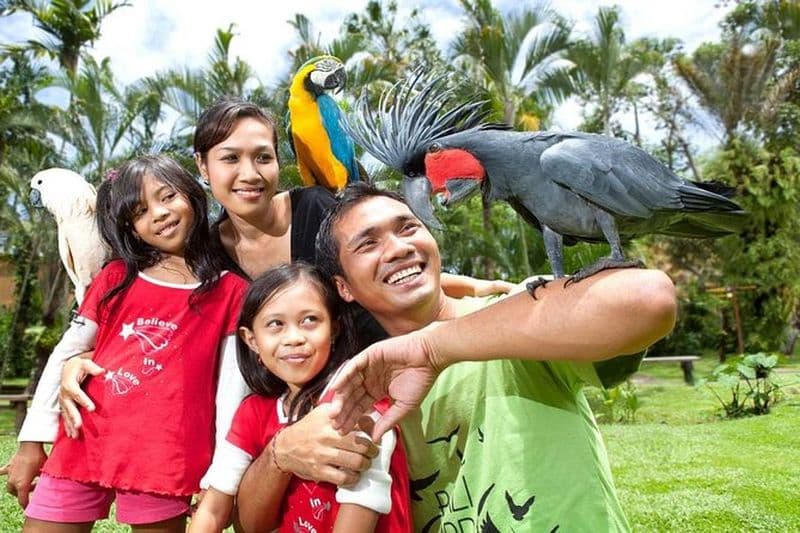 Billet d'entrée au parc des oiseaux de Bali avec transfert à l'hôtel