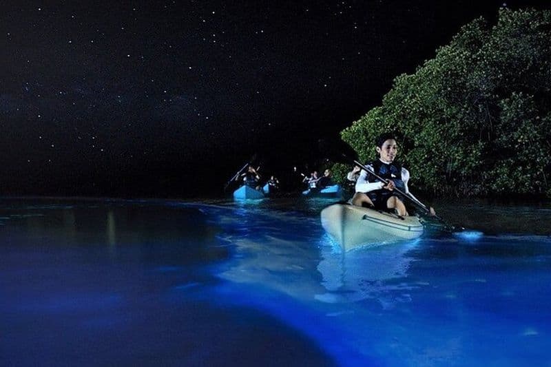 Tour de bioluminescence en kayak sur l'île de Holbox