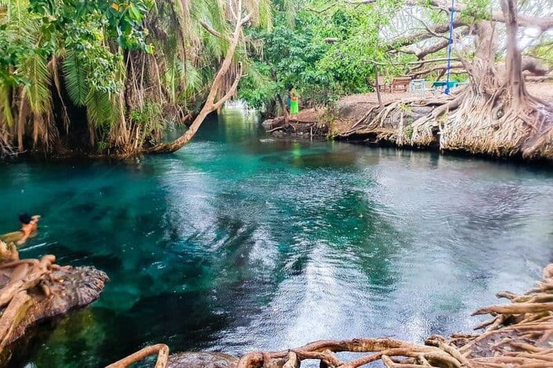 Kikuletwa Source chaude