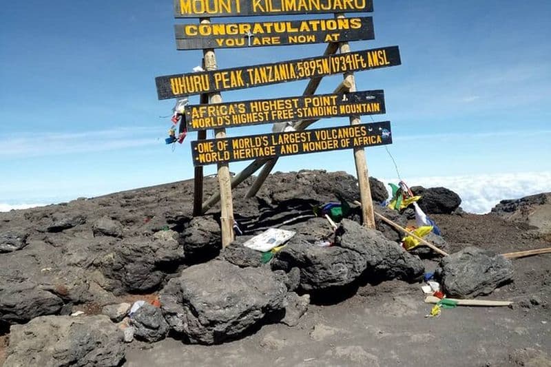 Excursion privée d'une journée et randonnée dans le parc national du Kilimandjaro