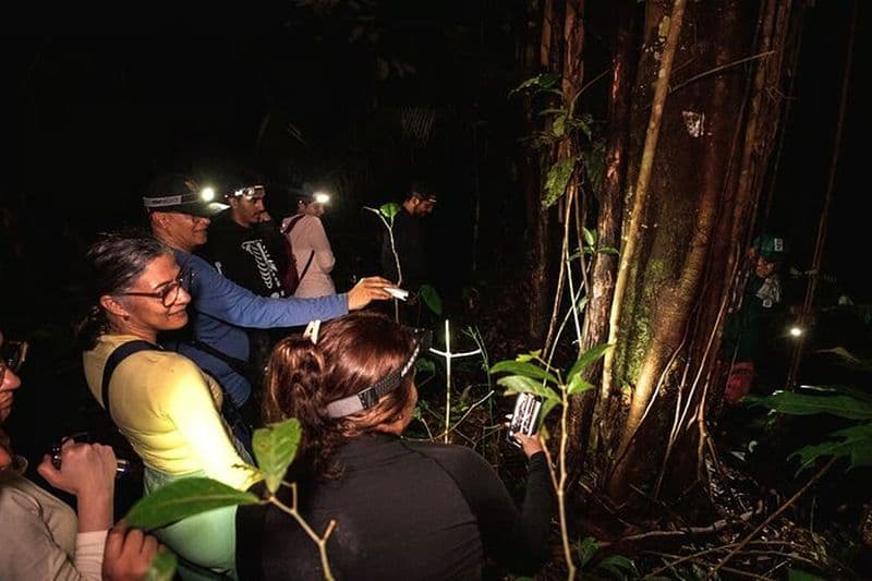 Safari Leticia 2 jours et 1 nuit en péniche dans la jungle et sur la rivière