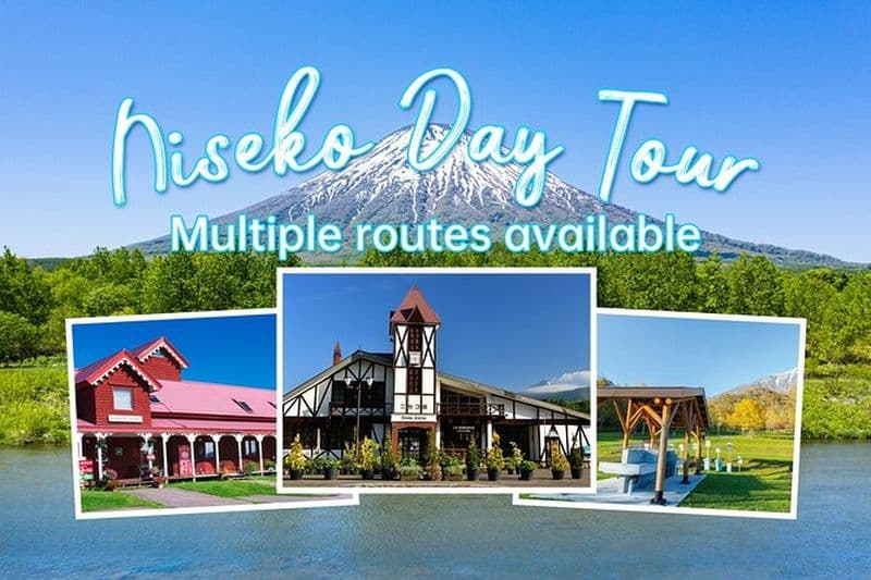 Hokkaido Niseko Ski Day Tour(Départ de Sapporo)