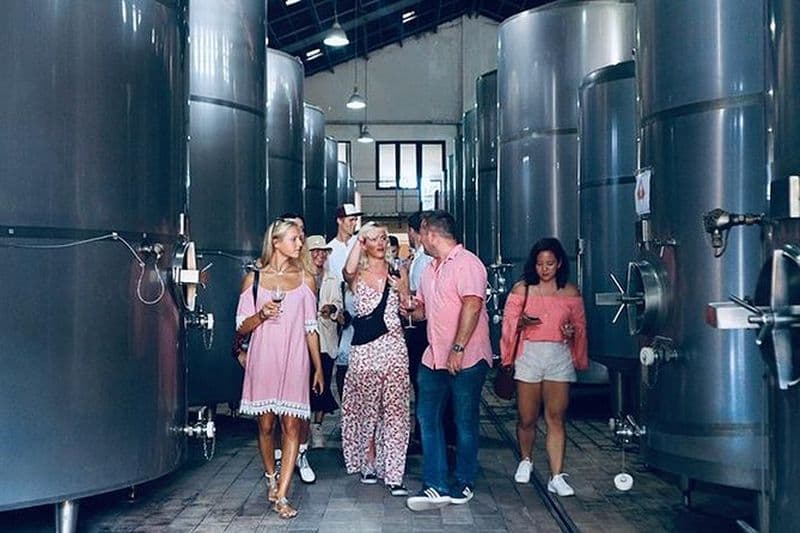 Visite de la cave de Bali et dégustation de vin avec transfert privé