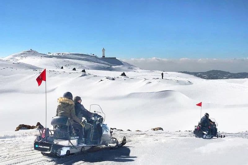 Excursion d'une demi-journée en motoneige et aventure panoramique