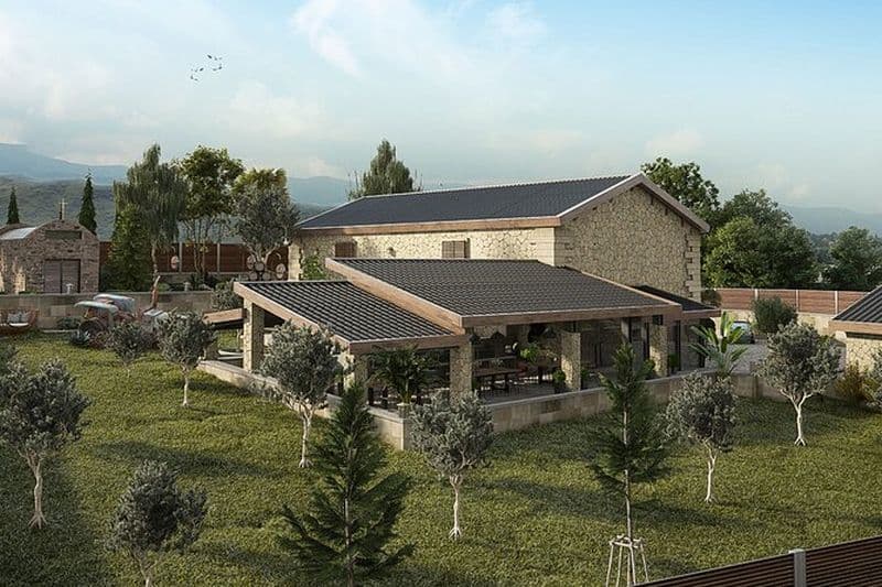 Explorez les secrets du vin et des olives