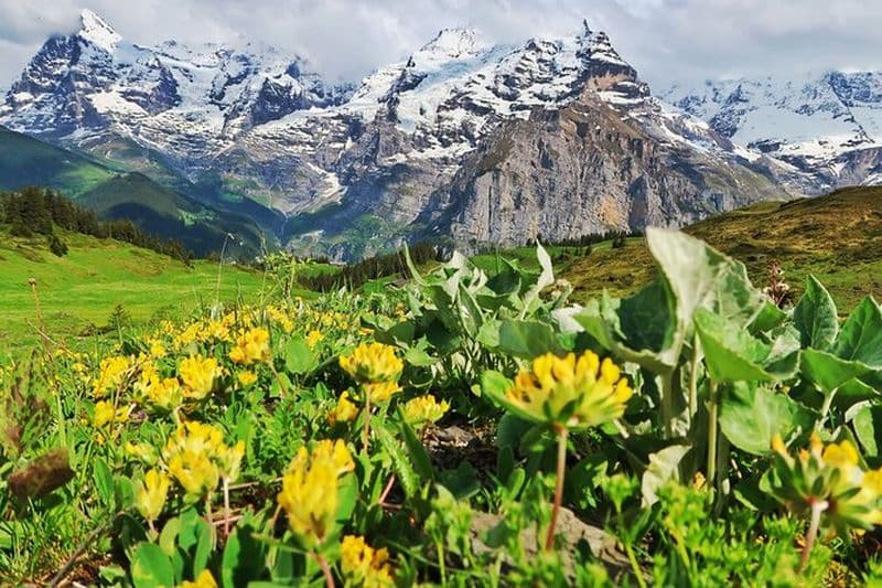 Randonnée Lauterbrunnen-Murren avec cascades de Trummelbach Visite