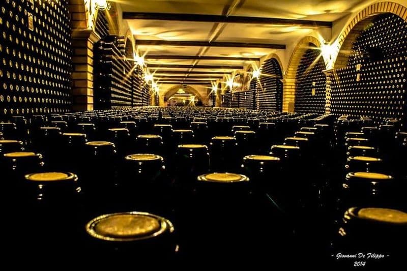 Cantine Bosco Nestore - Visite des vins et dégustation