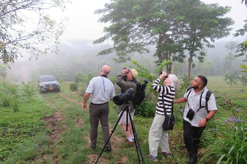Visite agricole des camélias, ferme biologique et oiseaux de forêt sèche