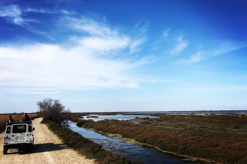 Safari 4x4 Camargue 2heures - Saintes Maries de la Mer - Tour Privé