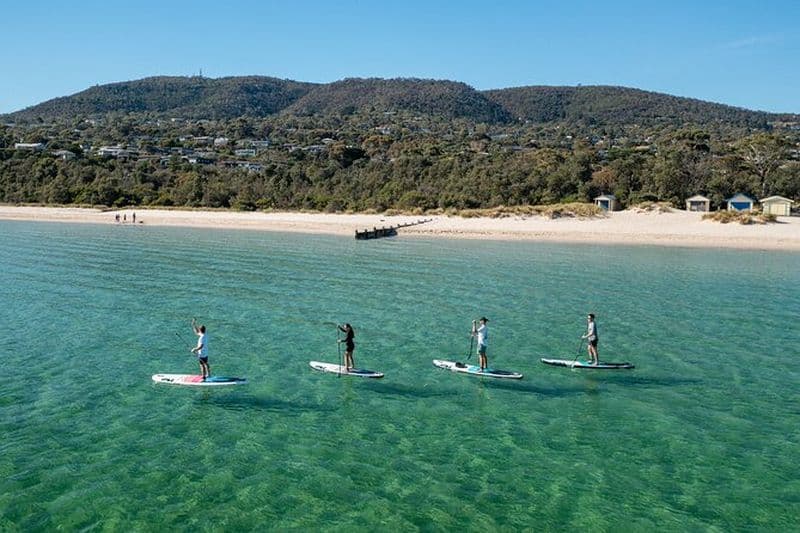 Aventure ultime dans la péninsule : stand up paddle, sources chaudes, randonnée, déjeuner et vignoble