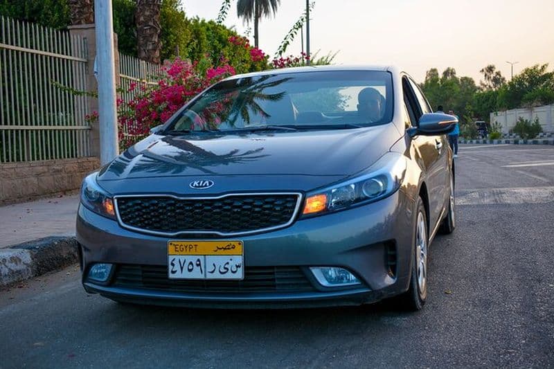 Billet Transfert privé de Louxor à Assouan avec arrêt guidé à Edfou Temple