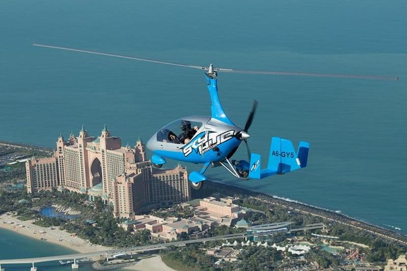 Gyrocoptère The Palm