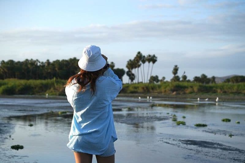 Cabo birding | Observation des oiseaux dans un sanctuaire d'oiseaux
