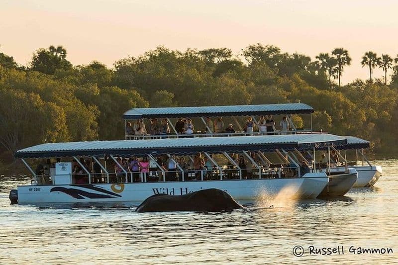 Croisière Sundowner sur le fleuve Zambèze (Zimbabwe)