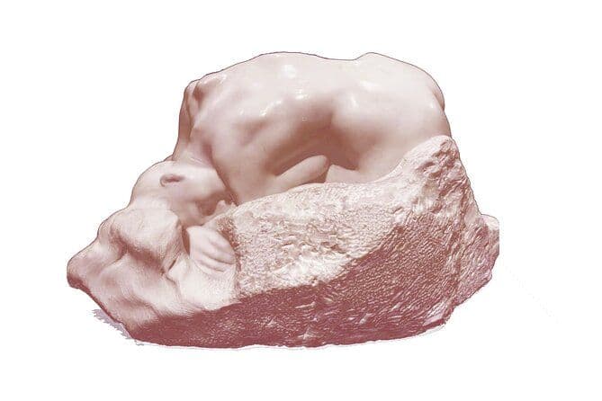 Musée Rodin : Visite guidée coupe-file avec artiste