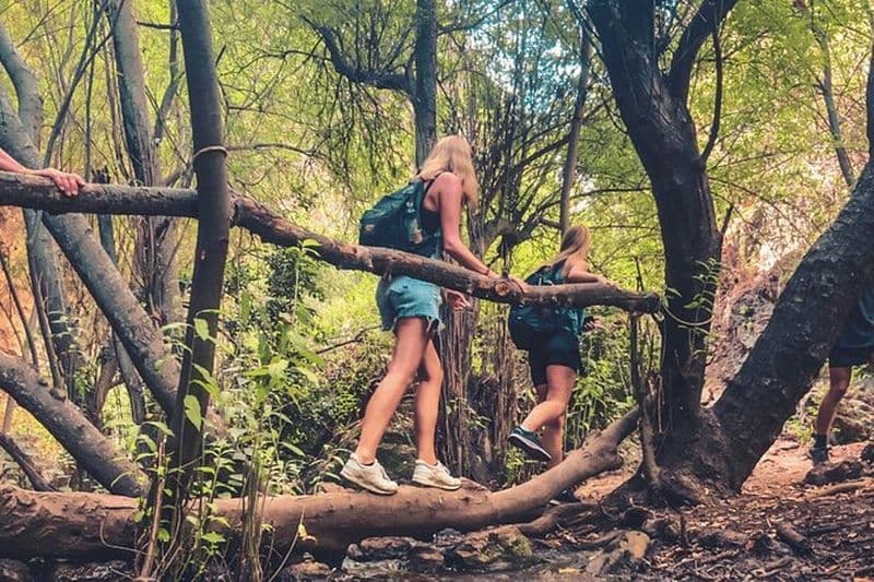 Punta Cana : Los Haitises Hike & Kayak Mangroves