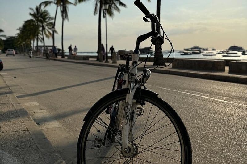 Visite privée à vélo Zanzibar