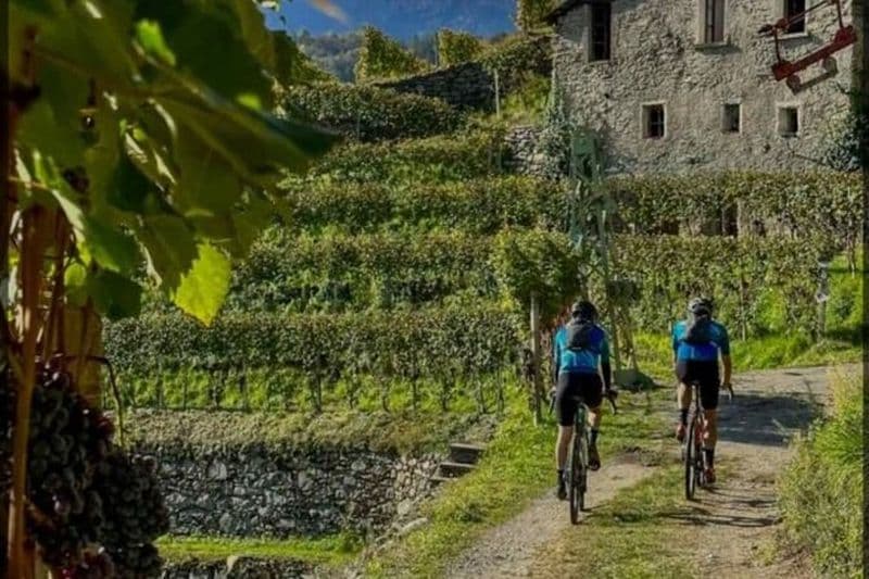 Expérience du vin et visite à vélo du lac de Côme à la Valteline