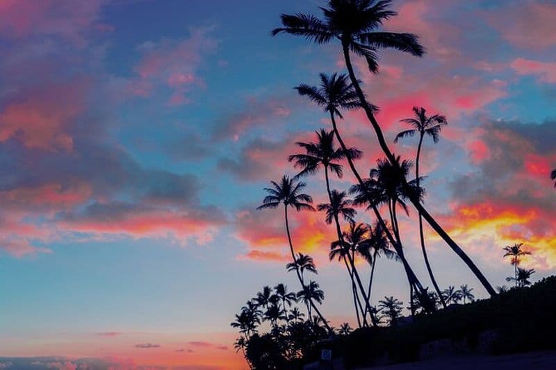 Hayahay Ritual Soul Vessel Alignement à Siargao